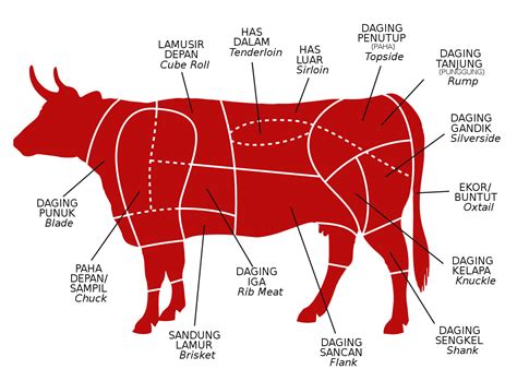 anatomi sapi dan bagiannya Tujuan Uterus